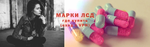 стаф Алексин