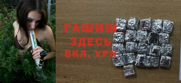 стаф Алексин