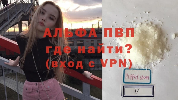 стаф Алексин