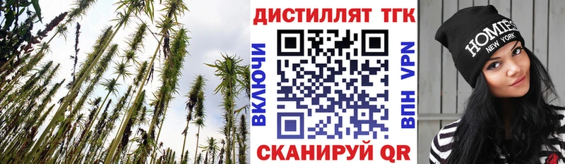ТГК Wax  Томари 